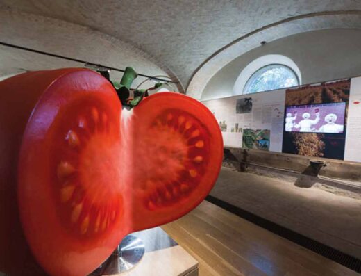 MUSEI DEL CIBO – MUSEO DEL POMODORO