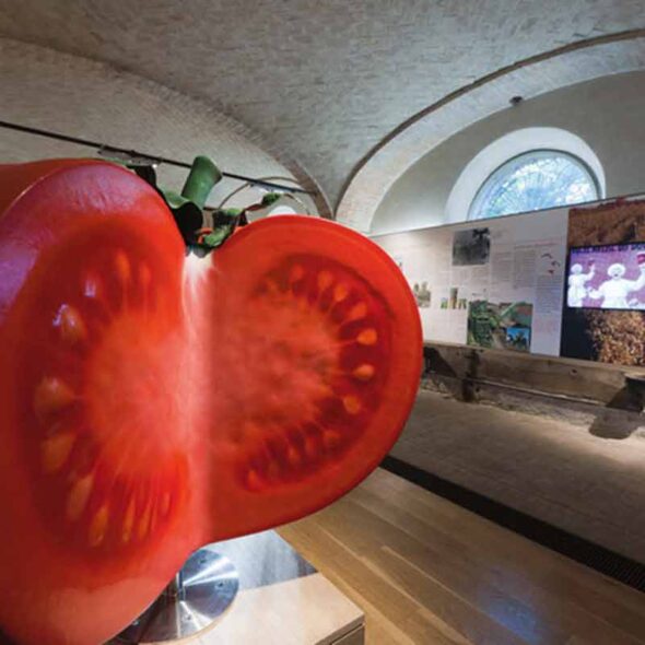 Musei del cibo - museo del pomodoro