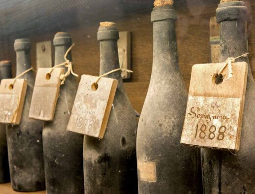 MUSEI DEL CIBO – MUSEO DEL VINO