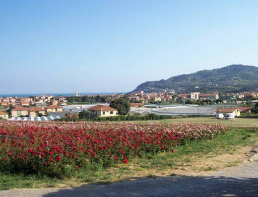 AGRICAMPEGGIO AL ROSETO
