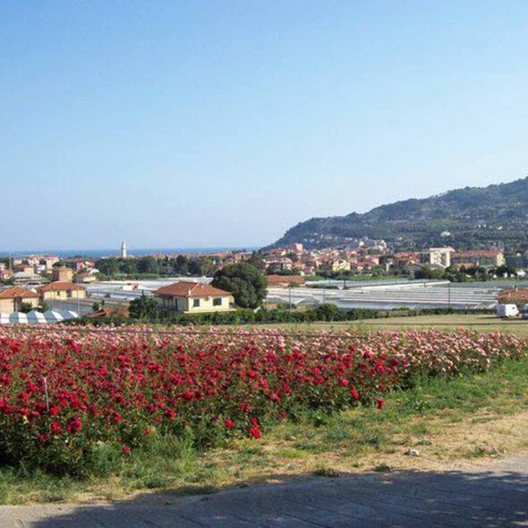 Agricampeggio al roseto