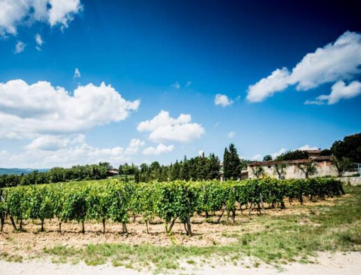 AGRITURISMO LA MONTANINA