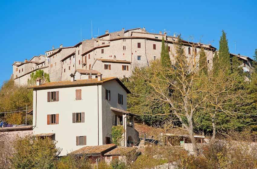 Agriturismo zafferano e dintorni