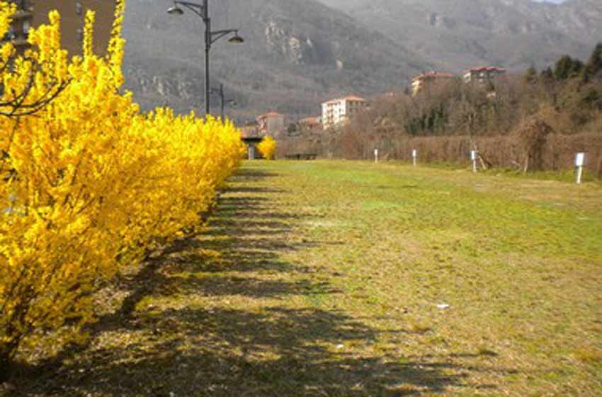 Area sosta camper - pont canavese