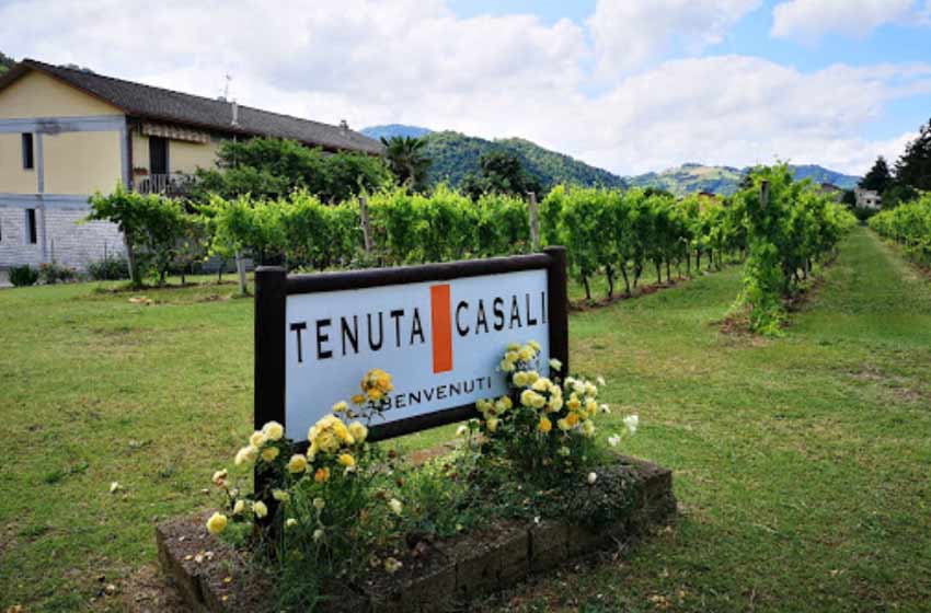 Agriturismo tenuta casali