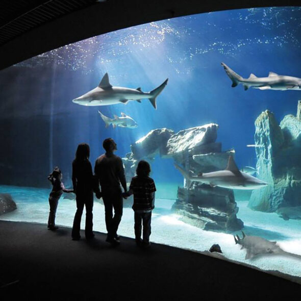 Acquario di genova