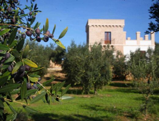 AGRICAMPING LE CANNATARE