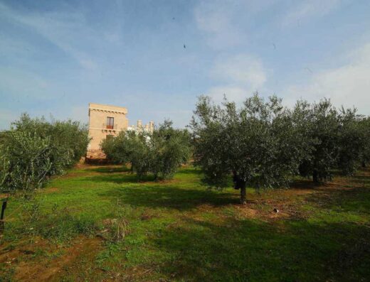 AGRICAMPING LE CANNATARE