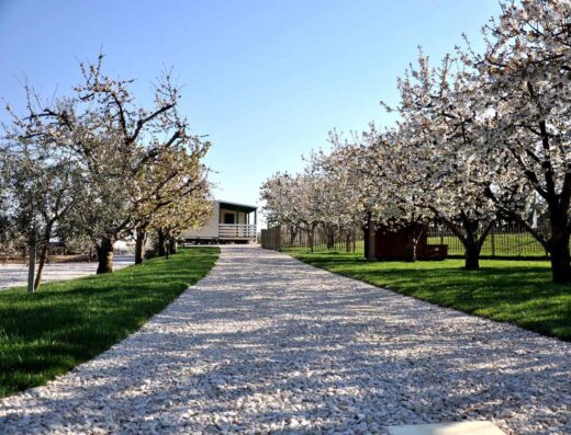 AGRITURISMO & AGRICAMPING SERENA