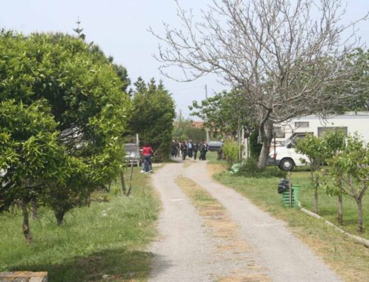 AGRITURISMO IL GELSOMINO RITROVATO