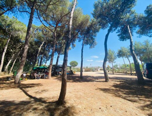 AGRICAMPEGGIO & AGRITURISMO LA PINETA