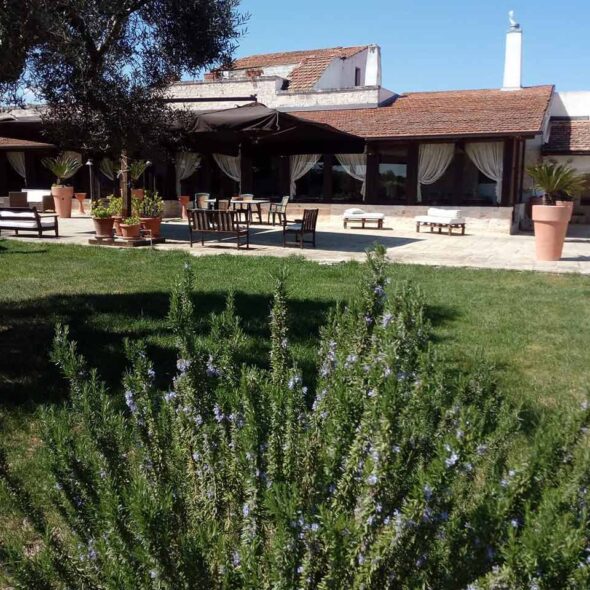 Agriturismo masseria alberotanza