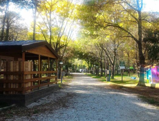 CAMPING ALTO SAVIO
