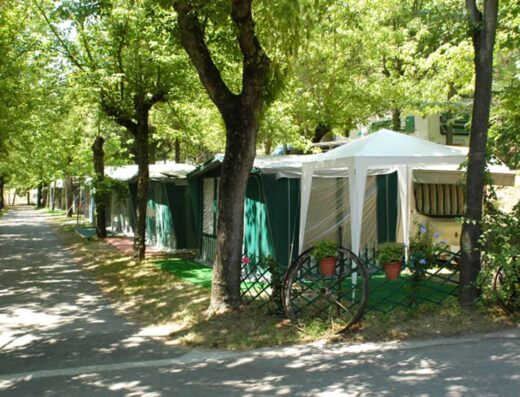 CAMPING ARIZONA