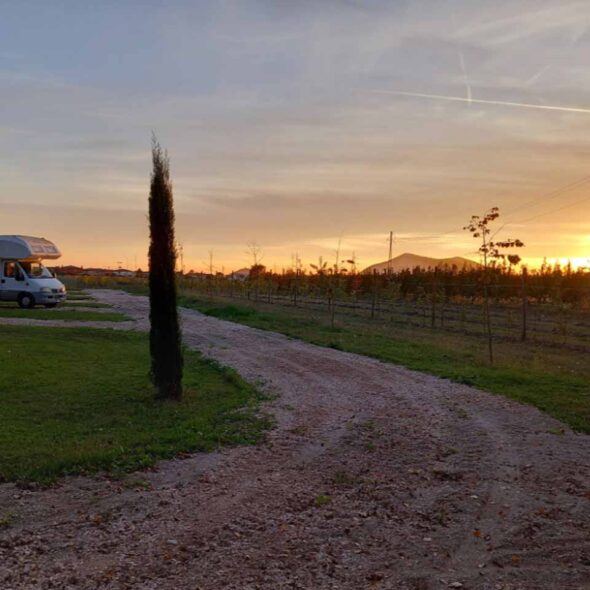 Enoturismo dofine'
