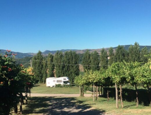 AGRICAMPEGGIO LA FRULANA
