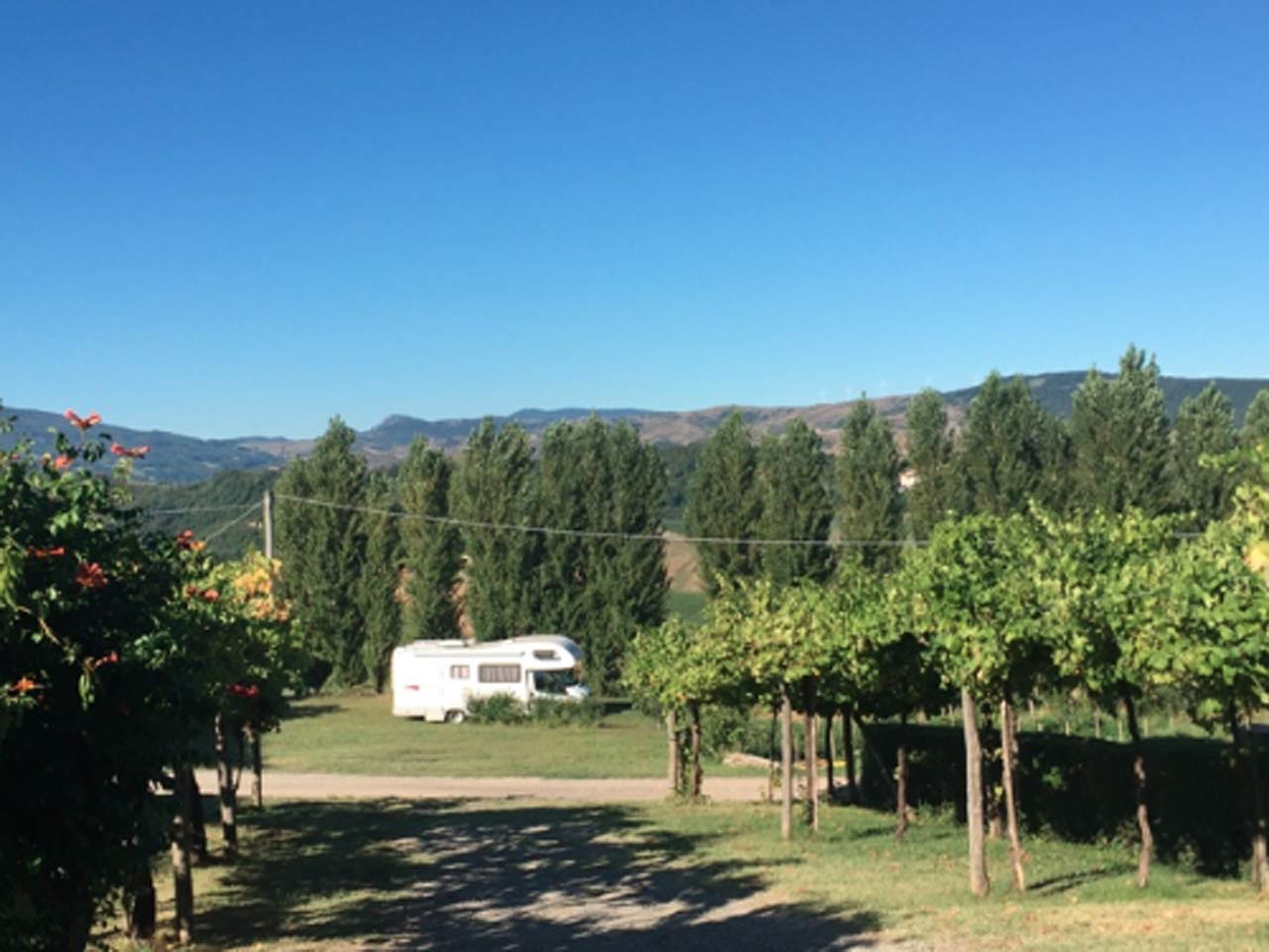 Agricampeggio la frulana
