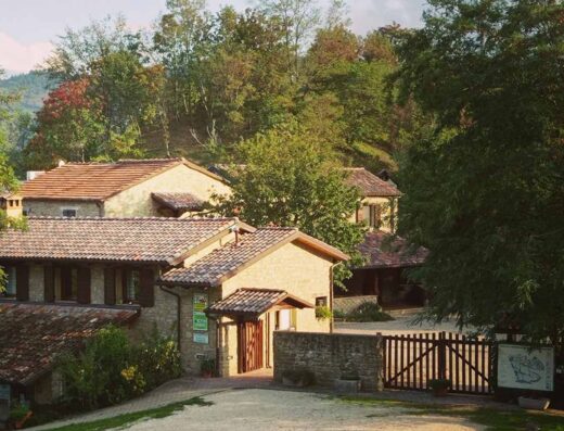 BORGO BASINO
