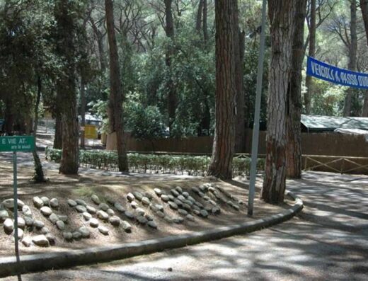 CAMPING CONTINENTAL NATURAL & FITNESS