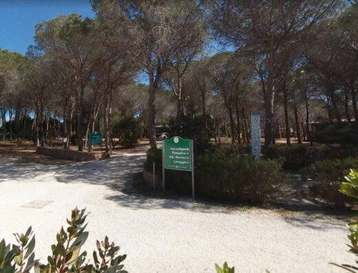 CAMPING CALA GINEPRO