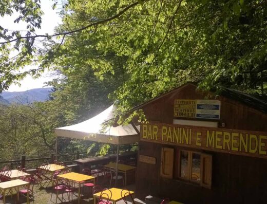 CAMPING CAMALDOLI