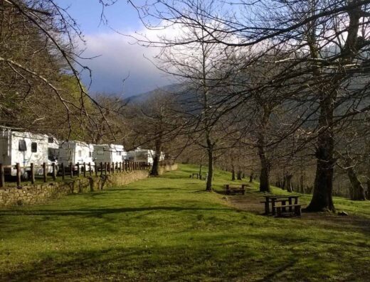CAMPING CAMALDOLI