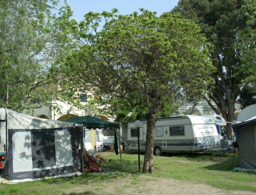 CAMPING DELFINO