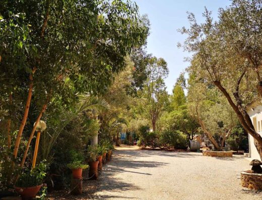 CAMPING FICO D’INDIA