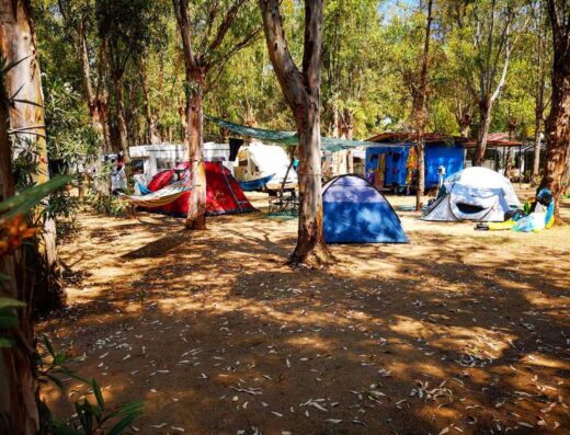 CAMPING FICO D’INDIA