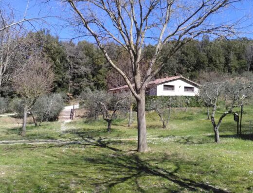 CAMPING IL FALCONE