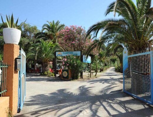 CAMPING REALE
