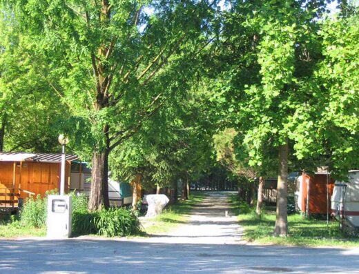 CAMPING SARATHEI