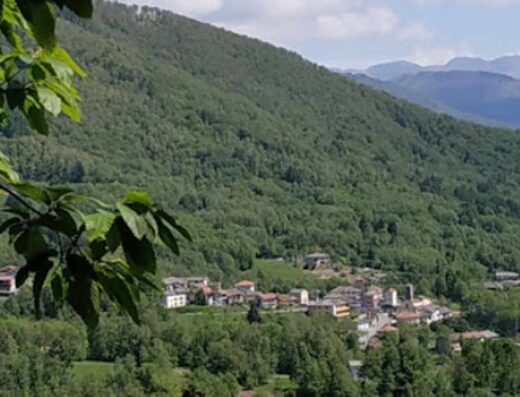 PUNTO SOSTA CANISCHIO
