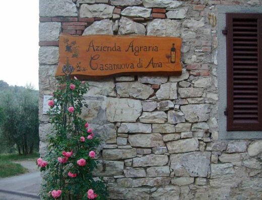 AZIENDA AGRICOLA CASANUOVA DI AMA