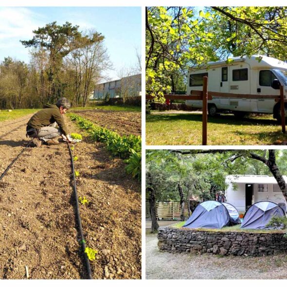 Camping agrituristico carso