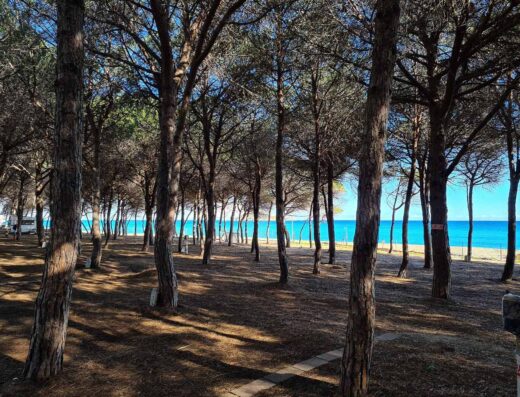 CAMPING ISCRIXEDDA