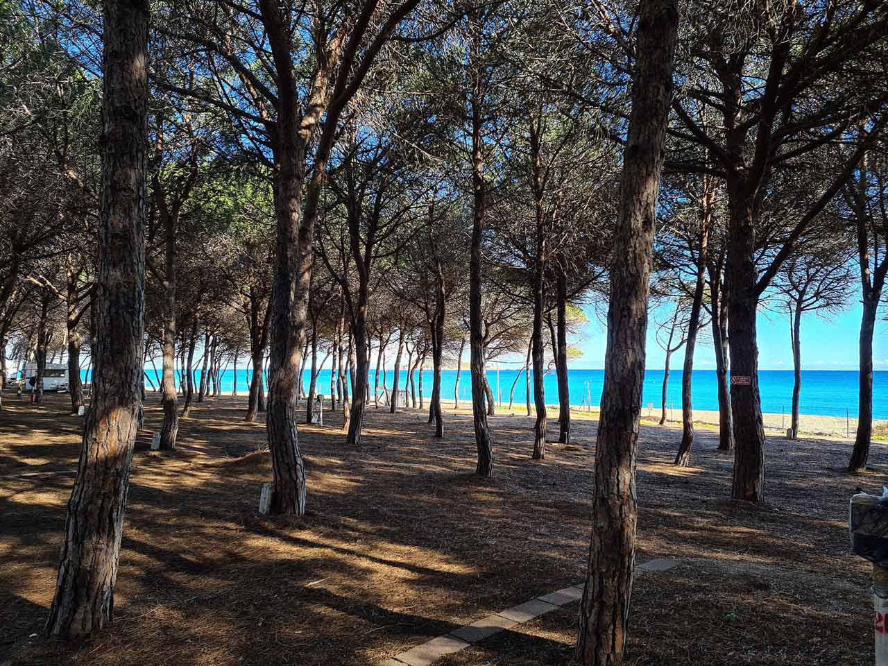 Camping iscrixedda