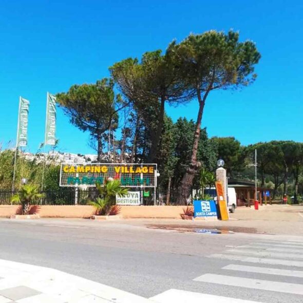 Parco degli ulivi