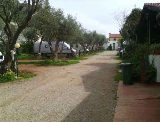CAMPING DEGLI ULIVI