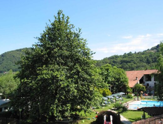 CAMPING CUSIO