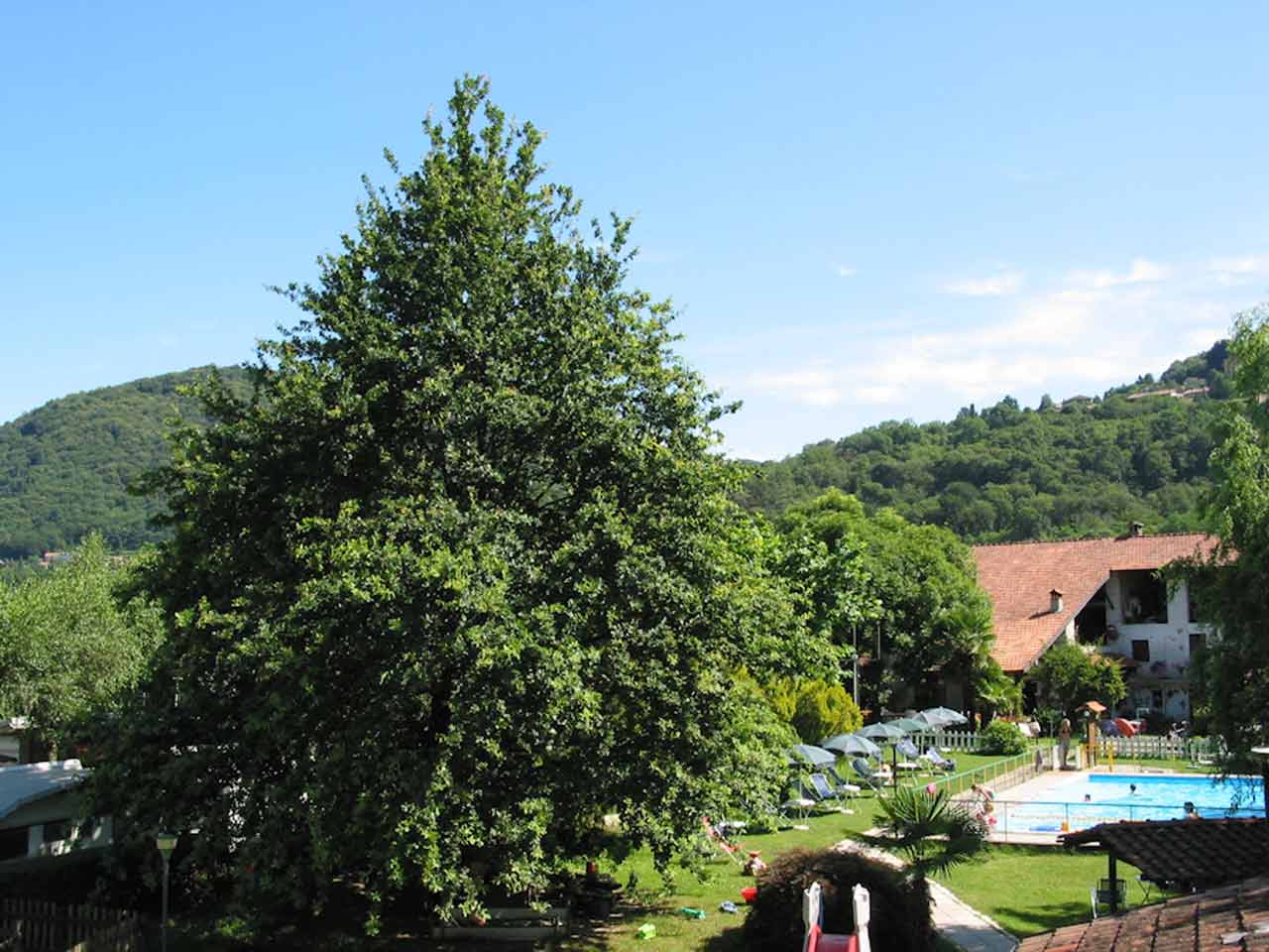 Camping cusio