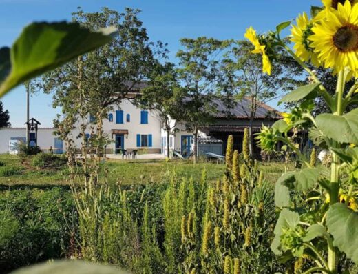 AGRICAMPEGGIO ELILU SOUL FARM – MANGIÀ AD CAMPAGNA