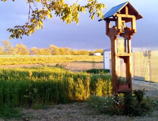AGRICAMPEGGIO ELILU SOUL FARM – MANGIÀ AD CAMPAGNA