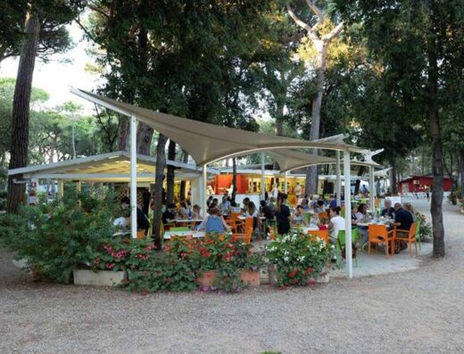 INTERNATIONAL CAMPING ETRURIA