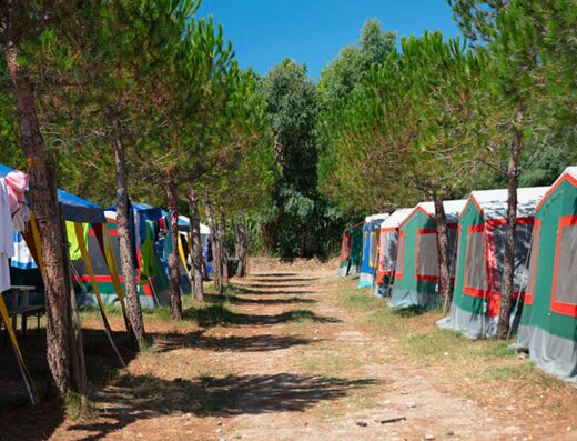 CAMPING IL GINEPRINO