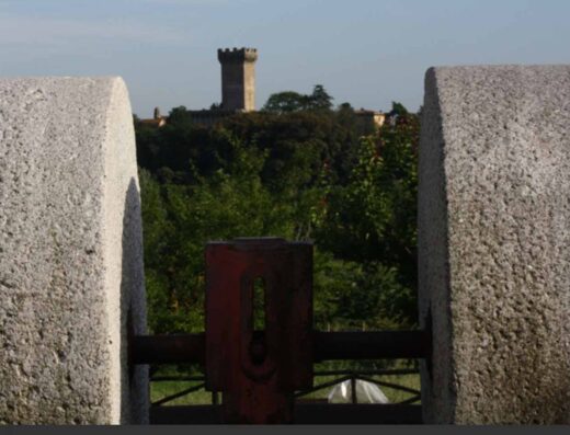 IL FRANTOIO DI VICOPISANO