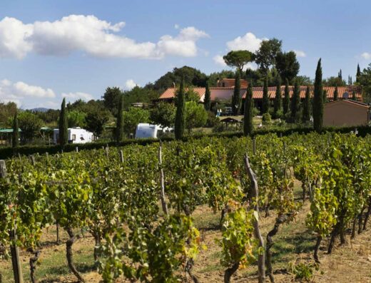 LA SERRA DEL PINO – AGRICAMPEGGIO