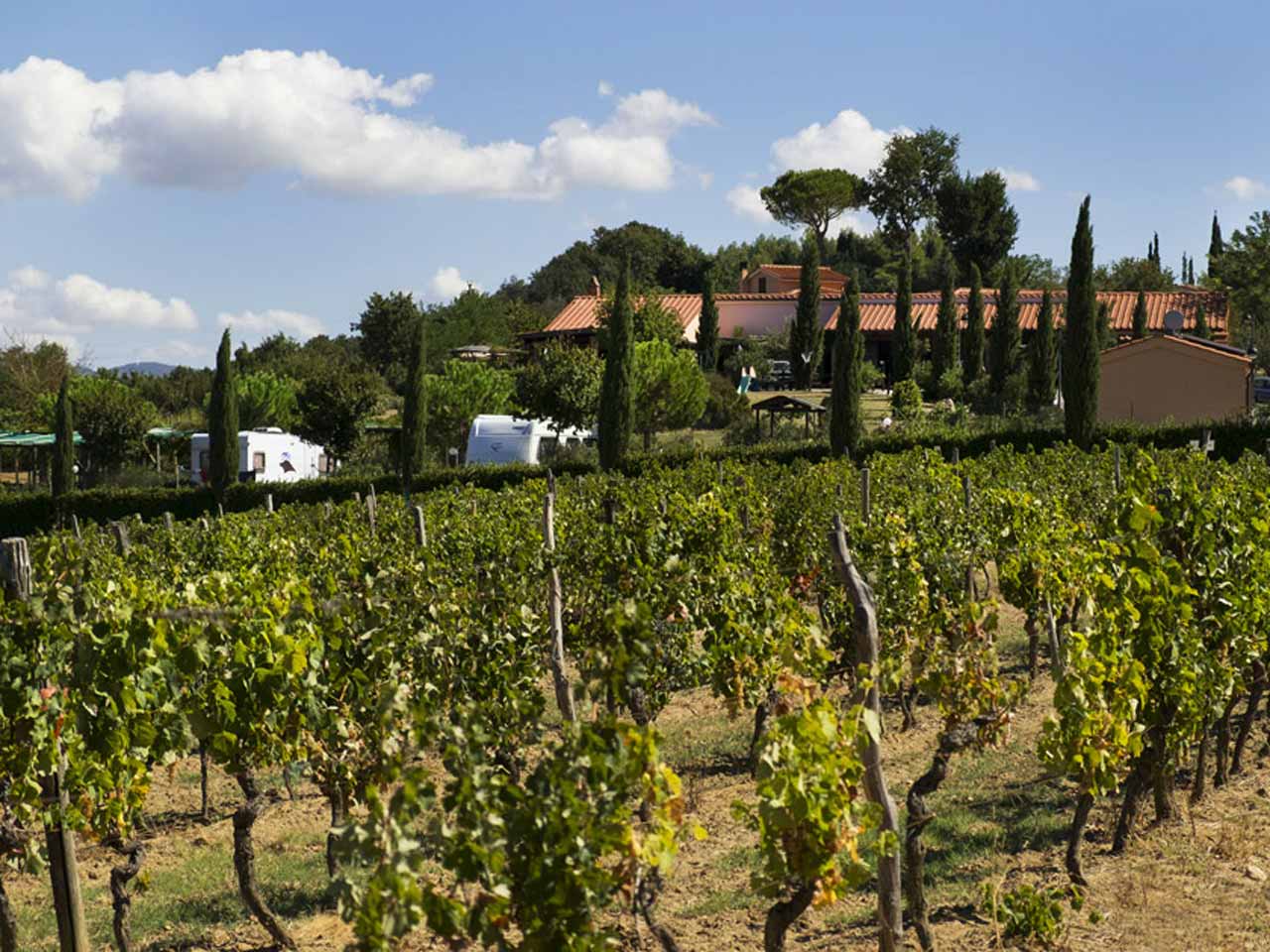 La serra del pino - agricampeggio