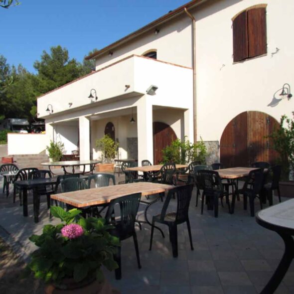 Le rondini di san bartolo