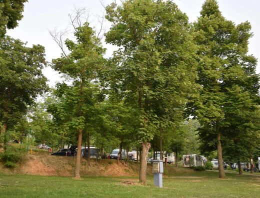 CAMPING INTERNATIONAL LE FONTI